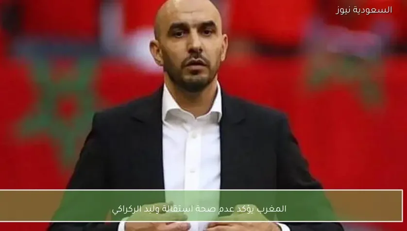 المغرب يؤكد عدم صحة استقالة وليد الركراكي – يلا شوت